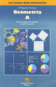 nel mondo della mat. GEOM. A esaur11 +cdrom