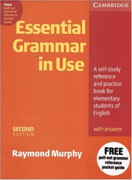 essential grammar in use con risposte