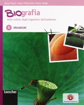 biografia delle cellule b-organismi