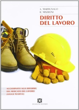 diritto del lavoro ne12