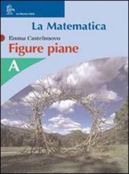 matematica figure piane a+b