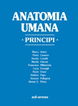 anatomia umana principi