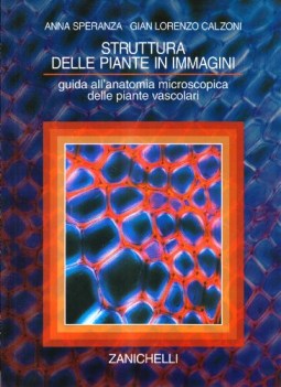 struttura delle piante in immagini