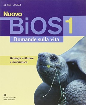 nuovo bios, domande sulla vita  1 ne07