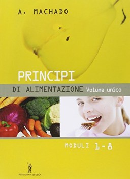 principi di alimentazione UN 2007 fc11