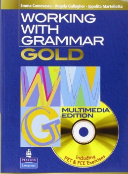 working with grammar gold multimedia edition  sb+cdrom