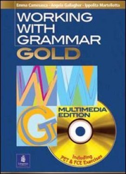 working with grammar gold multimedia edition  guida insegnante