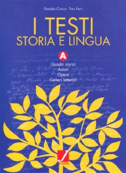 testi A+B quadri storici+lettertura