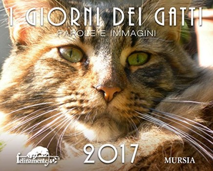 giorni dei gatti parole e immagini 2017