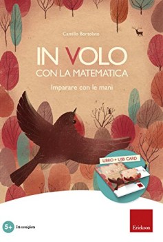 in volo con la matematica con usb flash drive