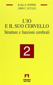 lio e il suo cervello 2