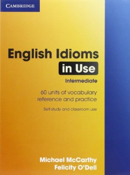 english idioms in use  with answers