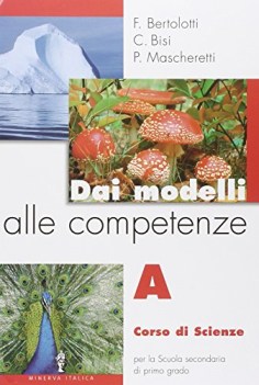 dai modelli alle competenze A +portfolio x smi