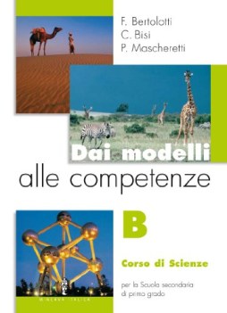 dai modelli alle competenze B x smi