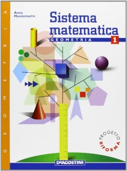 sistema matematica 1 geometria 1