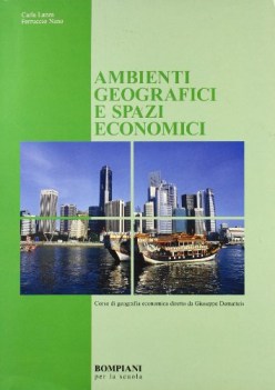 ambienti geografici e spazi economici