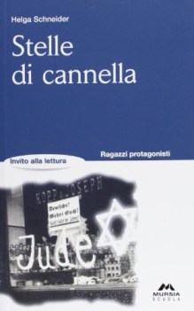 stelle di cannella