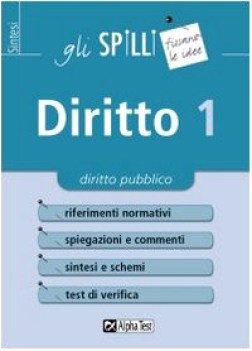 diritto 1 diritto pubblico (spilli)