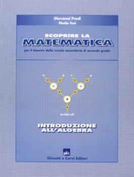 scoprire la matematica, introduzione...