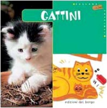 gattini