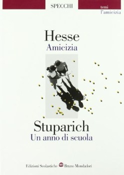 specchi amicizia - anno di scuola