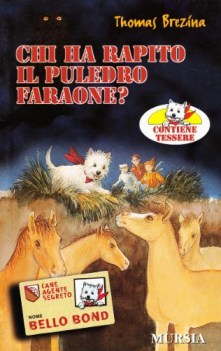 chi ha rapito il puledro faraone?