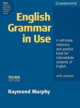 english grammar in use KEY intermediate ne04