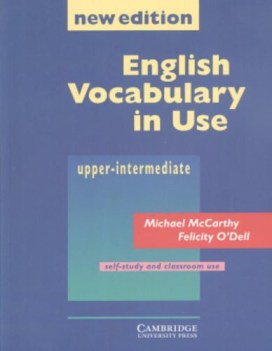 english vocabulary in use upp-int