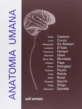 anatomia umana