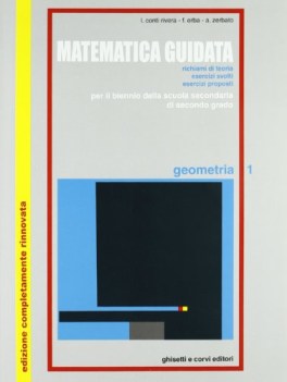 matematica guidata 1 geometria fcNO PRENO