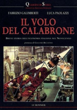 volo del calabrone