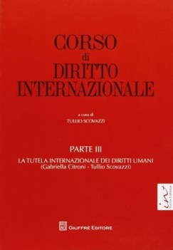 corso di diritto internazionale 3