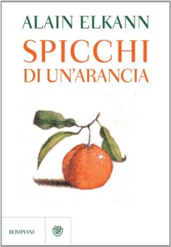 spicchi di un\'arancia