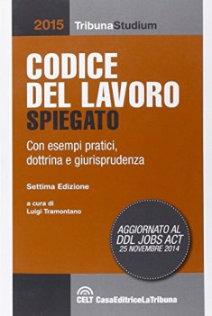 codice del lavoro