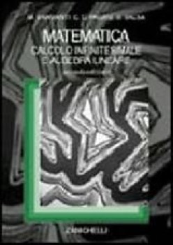 matematica calcolo infinitesimale e algebra lineare