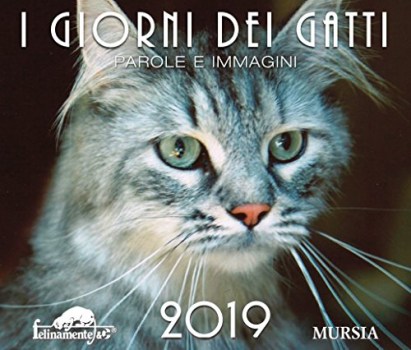 giorni dei gatti calendario 2019