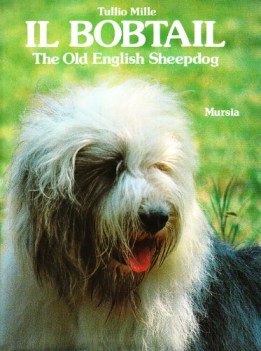 bobtail the old english sheepdog