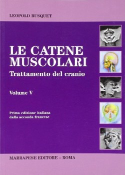 catene muscolari 5