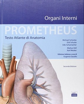 prometheus atlante di anatomia organi interni