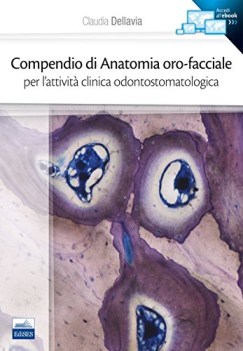 compendio di anatomia orofacciale per lattivit clinica odontostoma