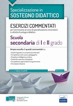 specializzazione in sostegno didattico esercizi commentati per lammi