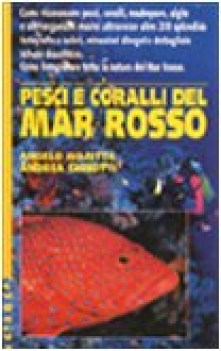 pesci e coralli del mar rosso