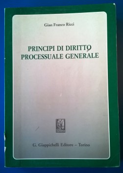 Principi di diritto processuale generale