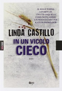 in un vicolo cieco