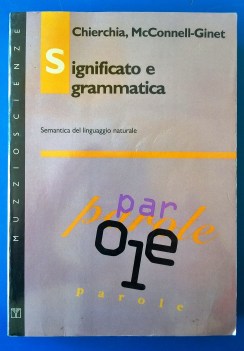 Significato e grammatica. Semantica del linguaggio naturale