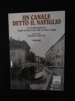 canale detto il naviglio