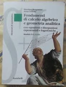 elementi di matematica s+l verde fondamenti di calcolo alg. e geom