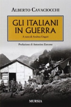 italiani in guerra