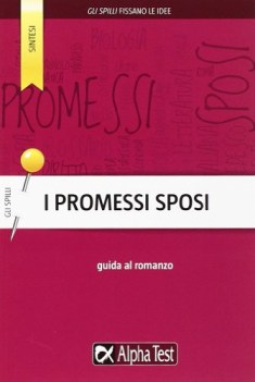 promessi sposi guida (spilli )