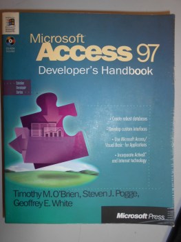 microsoft access 97 developer\'s handbook